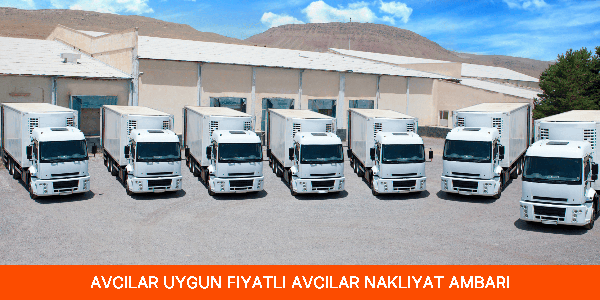 Uygun Fiyatlı Avcılar Nakliyat Ambarı